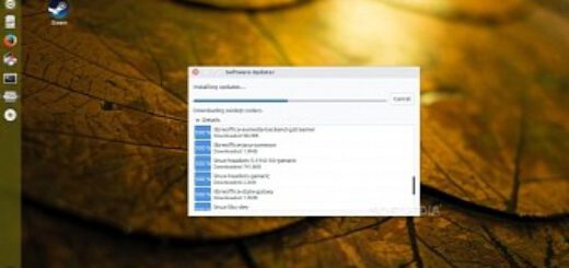 How To Check Patch Level In Solaris