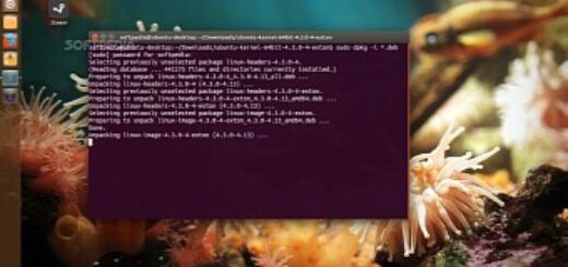 How To Install Kernel Source Debian