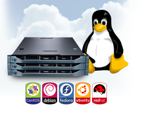 Top 5 Cheap Linux VPS Hosting Companies That Are Reliable