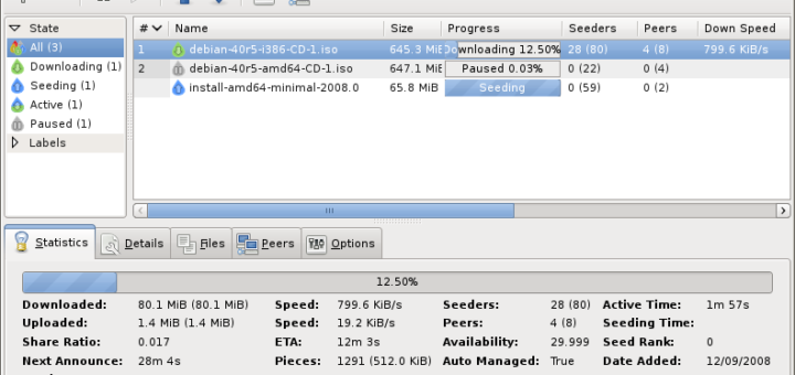 Deluge on Ubuntu