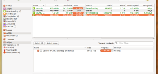QBittorrent for Ubuntu 14.04 or 14.10