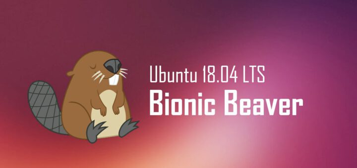 Ubuntu bionic beaver logo