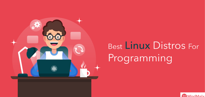 Top Linux Distros For Programming