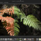 Darktable on Ubuntu