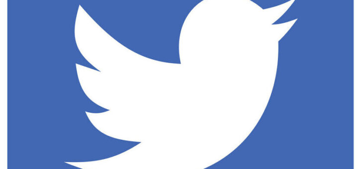 Twitter Linux Icon
