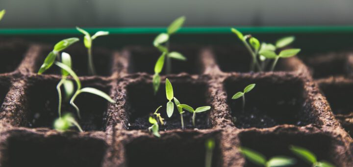 Spring news from the LXD team | Ubuntu