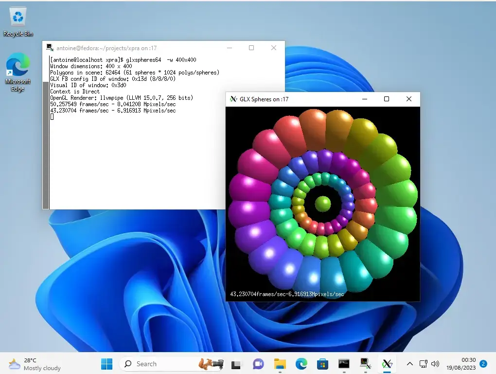 Xpra remote application window running on Linux
