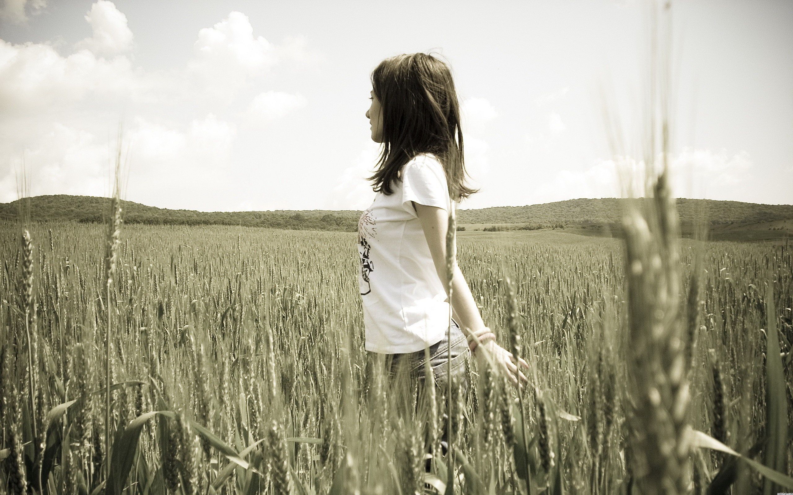  Girl  Alone  In Cornfield Wallpaper Ubuntu Free