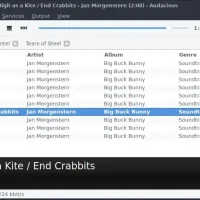 Best music players ubuntu audacious screenshot
