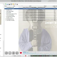 Best music players ubuntu strawberry screenshot