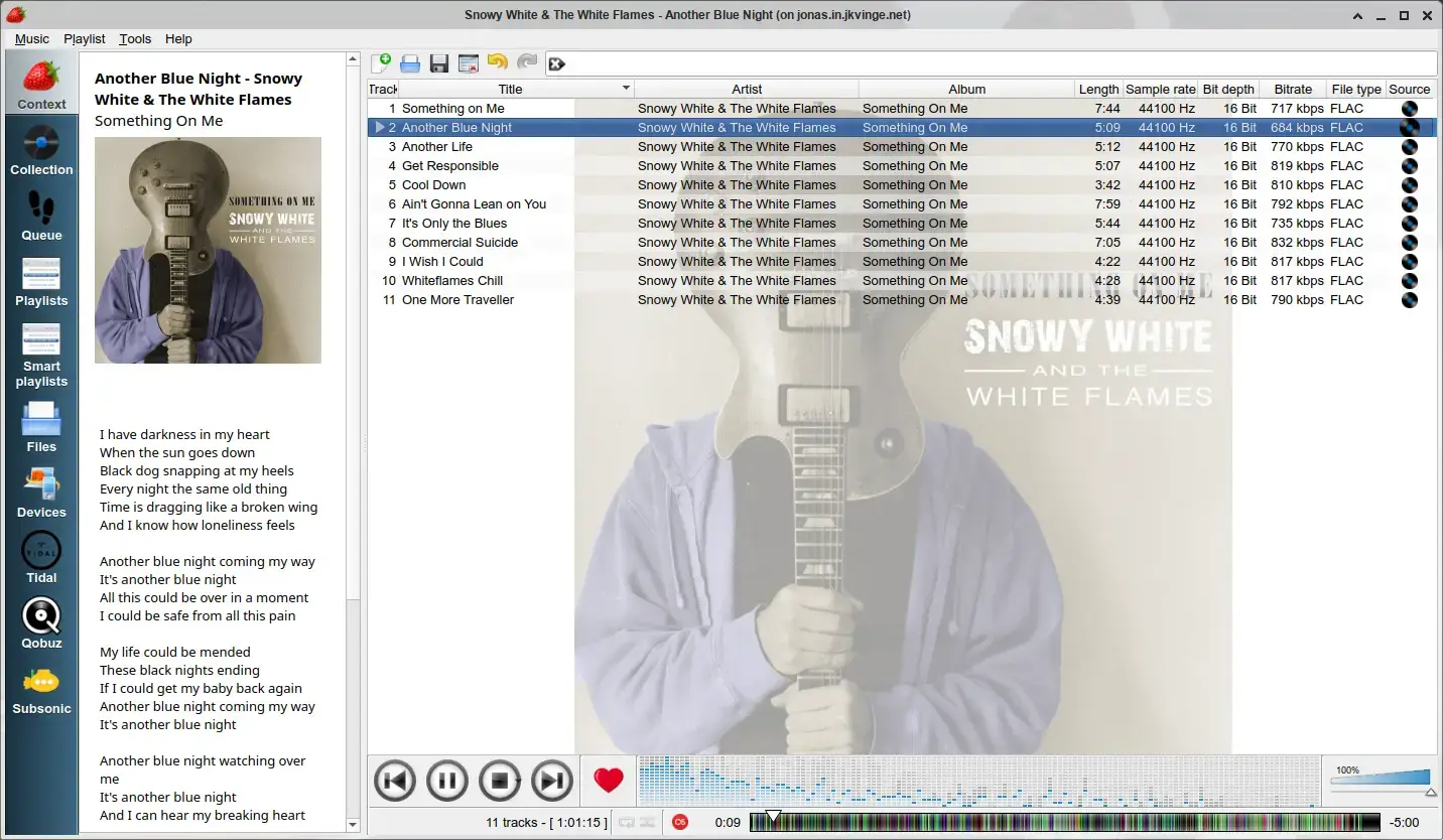 Strawberry music player screenshot on Ubuntu