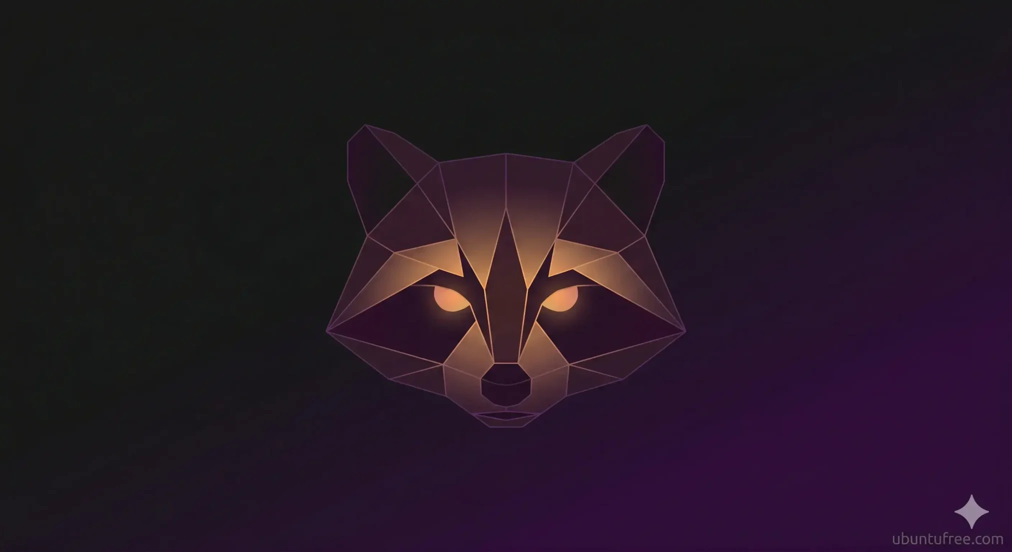 Black ubuntu wallpaper 19 racoon - 15 Black Ubuntu Wallpapers in HD and 4K