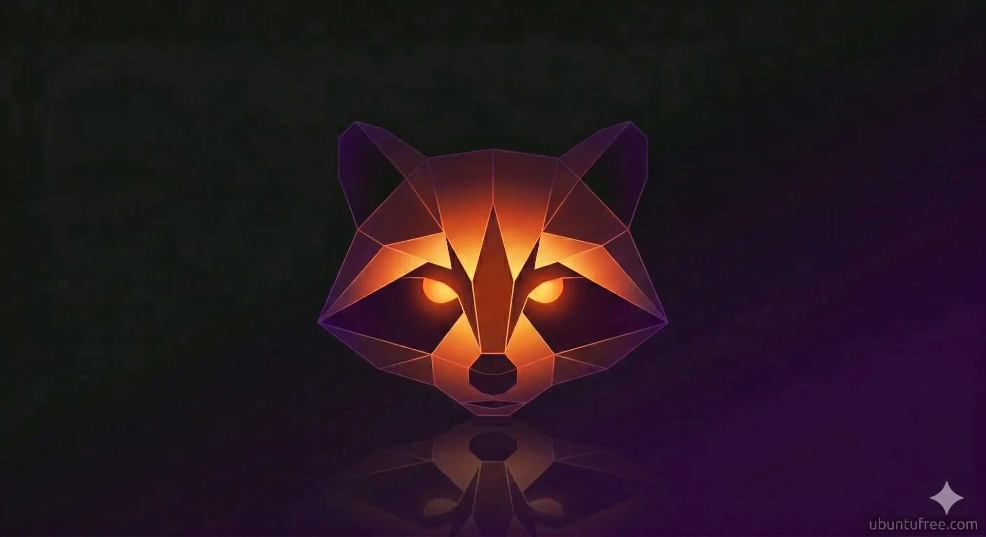 Black ubuntu wallpaper 22 fiery racoon ubuntu logo - 15 Black Ubuntu Wallpapers in HD and 4K