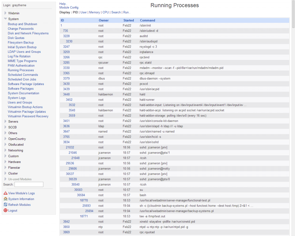 Webmin list running processes