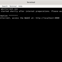 Qbittorrent headless mode
