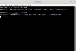 Qbittorrent headless mode - qBittorrent on Ubuntu 24.04: Install Guide & Tips