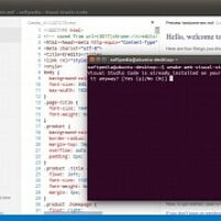 Install-Microsoft-Visual-Studio-on-32-bit-Ubuntu-Systems-with-Ubuntu-Make-0-8-2.jpg
