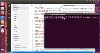 Install microsoft visual studio on 32 bit ubuntu systems with ubuntu make 0 8 2