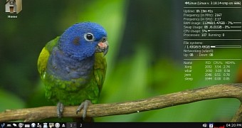4mlinux 13 1 distro enters beta stage with libreoffice 5 0 firefox 38 and chrome 43