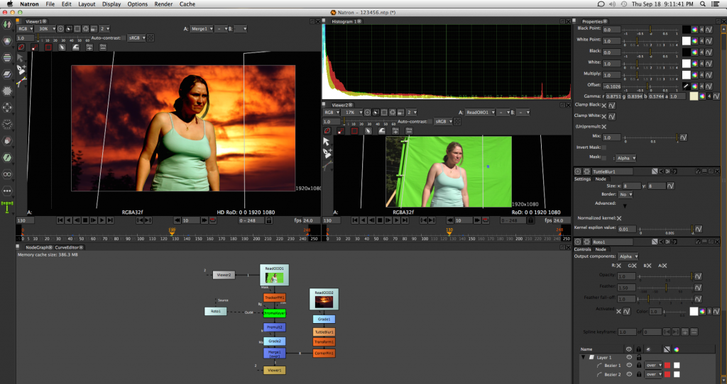 Natron animation options