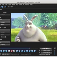 Best video editors ubuntu avidemux screenshot