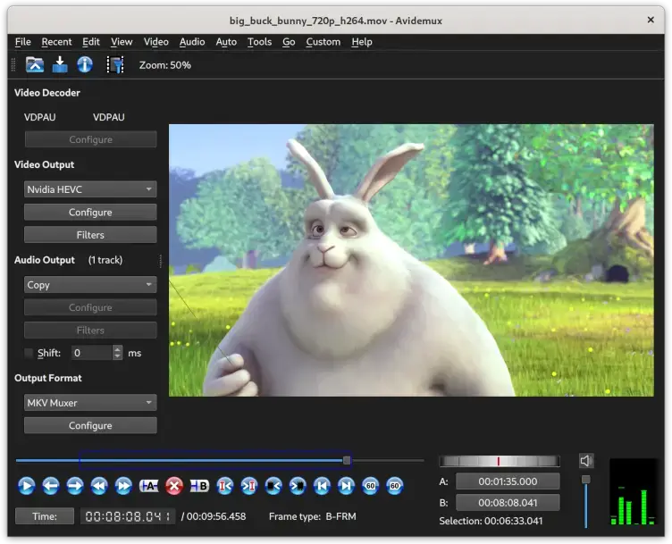 Avidemux video processor screenshot on Ubuntu