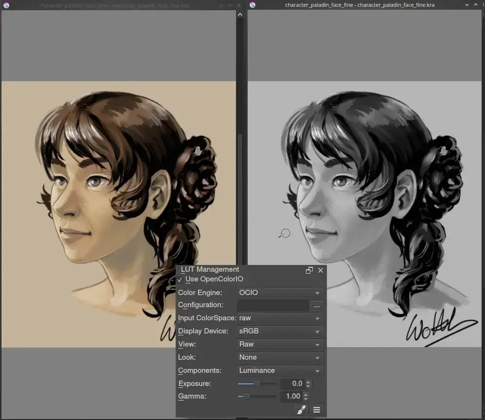 Character face color options - How to Install Krita on Ubuntu 26.04 - Complete Setup Guide