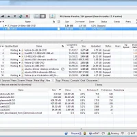 Biglybt screenshot