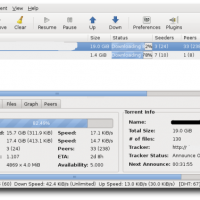 Deluge-Screenshot-Linux