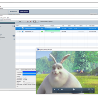 Vuze ubuntu