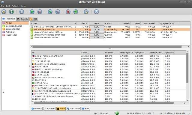 Qbittorrent connected peers
