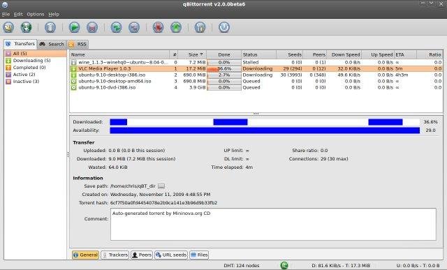 Qbittorrent torrent information