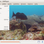 SMPlayer-On-Linux-Mint
