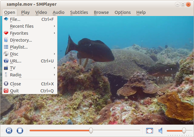 Smplayer on linux mint