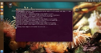 You can now install linux kernel 4 3 3 on ubuntu linux mint and black lab linux