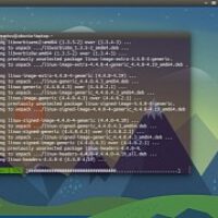 canonical-patches-ubuntu-15-10-kernel-regression-that-broke-graphics-displays.jpg