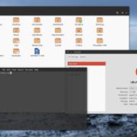 two-libssh-vulnerabilities-closed-in-supported-ubuntu-oses.jpg