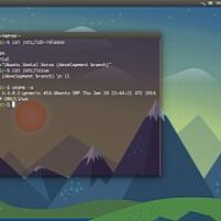 ubuntu-16-04-lts-flavours-prepare-for-their-first-xenial-xerus-beta-release.jpg