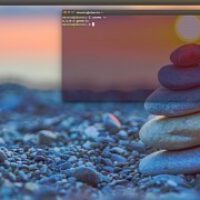 ubuntu-16-04-lts-xenial-xerus-enters-feature-freeze.jpg