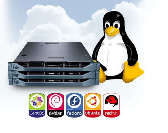 linux vps india