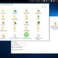 Windows-10-Theme-For-Linux