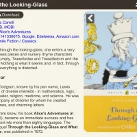 Book details ui