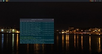 Solus operating system now provides out of the box support for 32 bit apps
