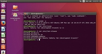 Ubuntu 16 10 yakkety yak will soon be powered by linux kernel 4 6