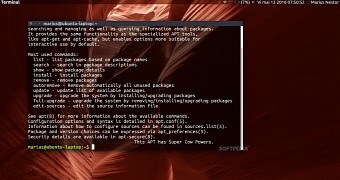 Apt 1 3 development advances apt 1 2 13 now available for debian and ubuntu