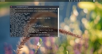 Canonical patches seven linux kernel vulnerabilities in ubuntu 16 04 update now
