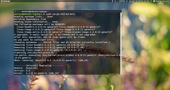 Here s how to remove old kernels from ubuntu 16 04 lts and free disk space