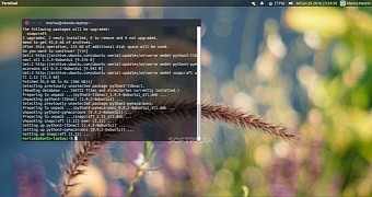 Canonical releases snapcraft 2 12 1 snap creator tool for ubuntu 16 04 lts