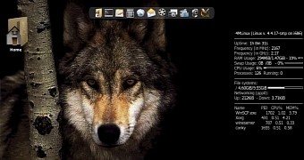 4mlinux 20 promises to be a special version final release launches november 1