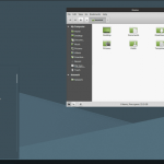 Adapta-Theme-For-Linux-Mint